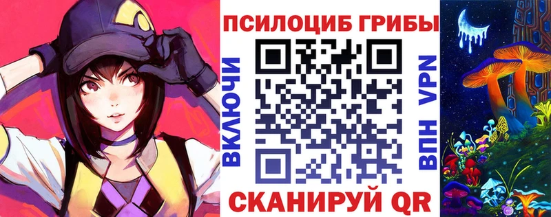 Галлюциногенные грибы Psilocybe  Купить закладки  Белоусово 